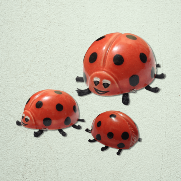 Lady Bug Set